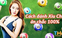 cách đánh xỉu chủ trong lô đề