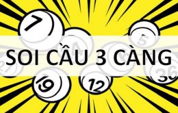 soi cầu 3 càng